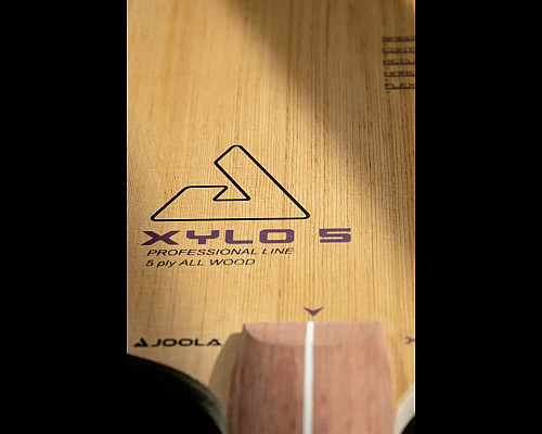 Основа для ракетки Joola XYLO 5 FL, бежева