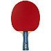 Ракетка для настільного тенісу Joola Team Premium, чорно-червона