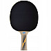Ракетка для настільного тенісу DONIC Legends 300, чорна