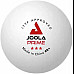 М'ячі для настільного тенісу Joola Prime 40+ White 6 шт, білі