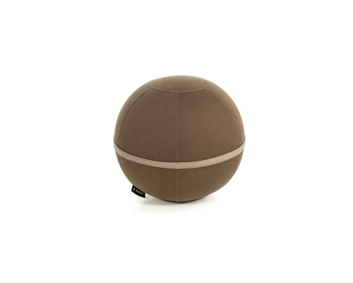 М'яч гімнастичний NOHRD Viva Ball 75 см, коричневий
