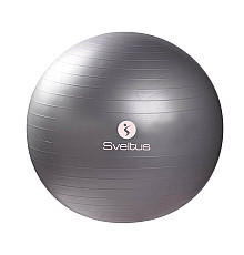 М'яч для фітнесу Sveltus SLTS-0340 Gymball ABS 65 см, сірий