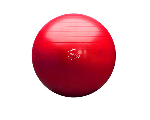 М'яч для фитнеса (фитбол) WCG 75 Anti-Burst 300кг рожевий