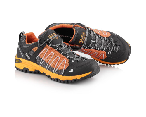 Кросівки Alpine Pro Triglav 3 PTX Low