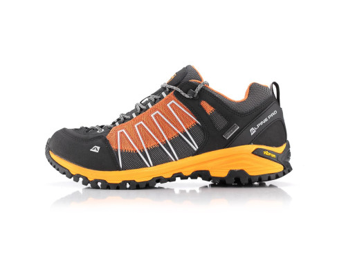 Кросівки Alpine Pro Triglav 3 PTX Low
