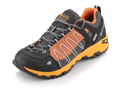 Кросівки Alpine Pro Triglav 3 PTX Low