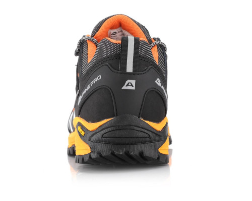 Кросівки Alpine Pro Triglav 3 PTX Low