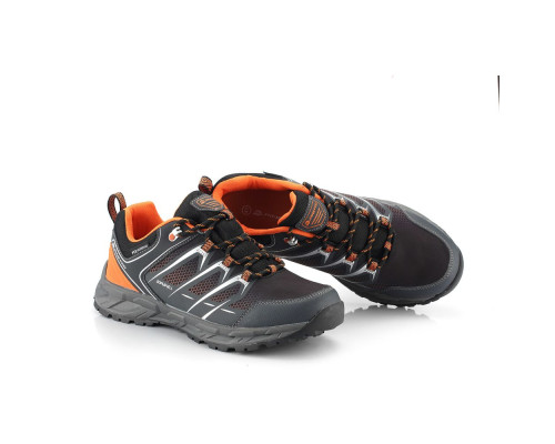 Кросівки Alpine Pro Haire