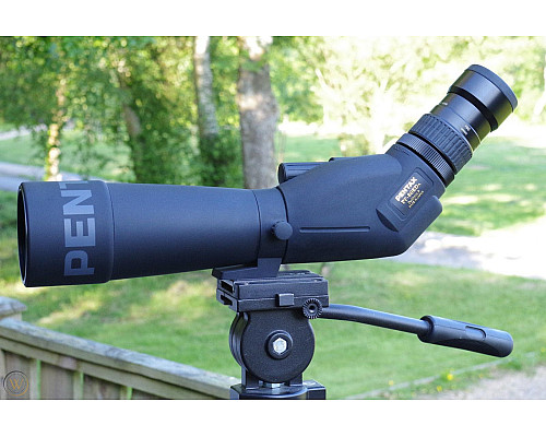 Підзорна труба Pentax 21-63x80/45 PF-80EDA W/C Kit (70950)