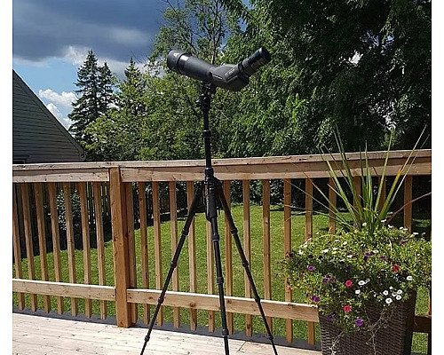 Підзорна труба Pentax 21-63x80/45 PF-80EDA W/C Kit (70950)