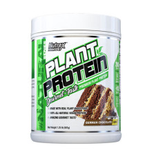 Plant Protein - 567g Cinnamon Cookies