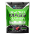 Super Mass Gainer Powerful Progress- 2000g Forest fruit