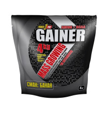 Gainer Power Pro - 4000g Banana