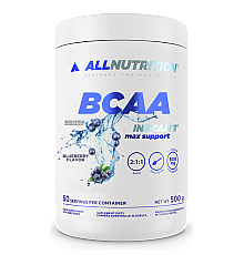 BCAA Max Support Instant - 500g Bllueberry