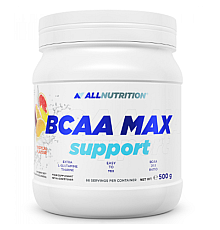 BCAA Max Support - 500g Orange