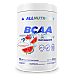 BCAA Max Support Instant - 500g Watermelon