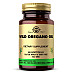 Олія дикого орегано (Wild Oregano Oil) - 60 капсул