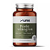 Pestki winogron UNS Vitamins - 90 caps