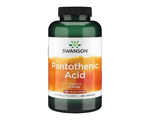 Pantothenic Acid 500mg - 250caps