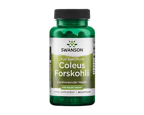 Coleus Forskohii 400 mg - 60 caps