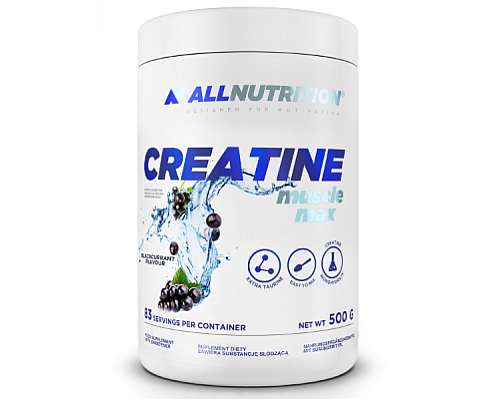 Creatine Muscle Max - 500g Orange