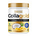 Collagold - 300g Pina Colada