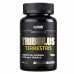 Tribulus Terrestris - 90 caps