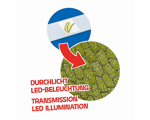 Мікроскоп Bresser Junior 40x-640x Purple з набором для дослідів і адаптером для смартфона (8851300GSF000)