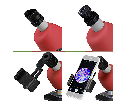 Мікроскоп Bresser Junior 40x-640x Red з набором для дослідів та адаптером для смартфона (8851300E8G000)