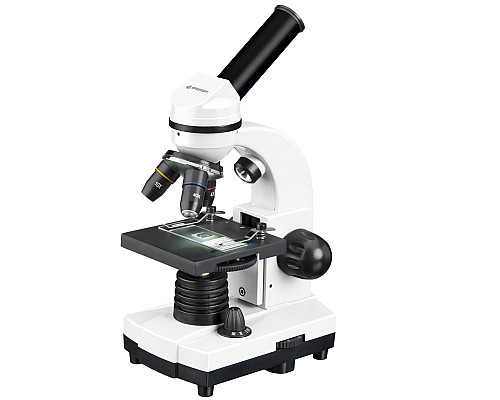 Мікроскоп Bresser Junior Biolux SEL 40x-1600x з адаптером для смартфона + кейс (8855610GYE000)