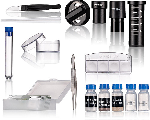 Мікроскоп Bresser Junior Biolux SEL 40x-1600x Green з адаптером для смартфона (8855600B4K000)