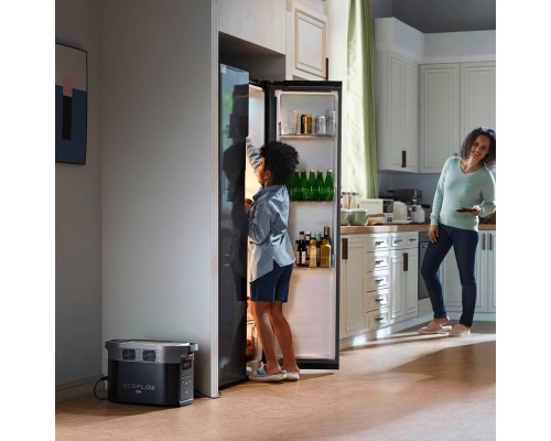 Зарядна станція EcoFlow DELTA 2 Max (EFDELTA2Max-EU)