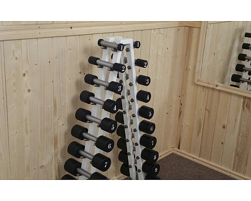 Гантелі зі стійкою RN Sport 1-10 кг, білий