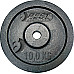Диск чавунний BEST SPORTING 10 кг