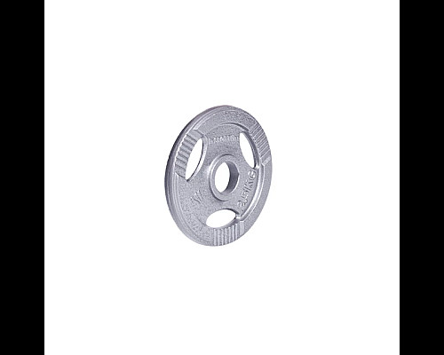 Диск чавунний inSPORTline Hamerton 2,5 кг