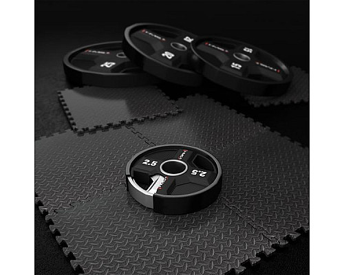 Диск олімпійський HMS TPC02 2.5 кг