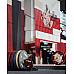 Диск змагальний для важкої атлетики Eleiko IWF, 25 кг
