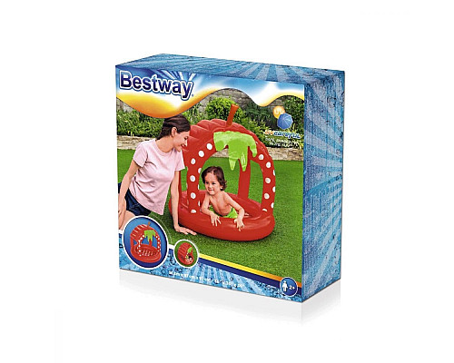 Басейн надувний дитячий Bestway 52387 91x91 см