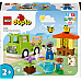 Конструктор LEGO DUPLO Town Догляд за бджолами й вуликами 22 деталі (10419)