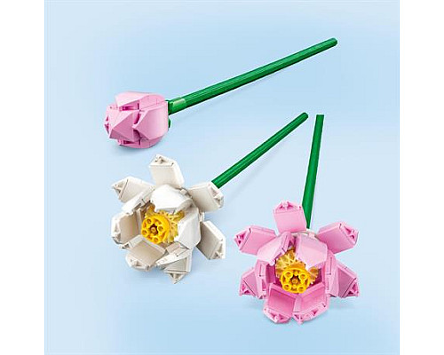 Конструктор LEGO Icons Квіти лотоса 220 ел. (40647)