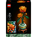 Конструктор LEGO Icons Хризантема 278 деталей (10368)