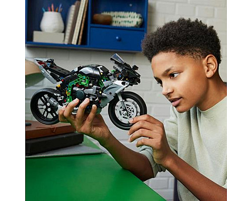 Конструктор LEGO Technic Мотоцикл Kawasaki Ninja H2R 643 ел. (42170)