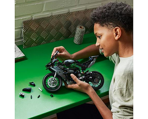 Конструктор LEGO Technic Мотоцикл Kawasaki Ninja H2R 643 ел. (42170)