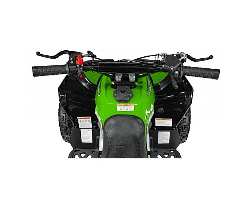 Дитячий акумуляторний квадроцикл RENEGADE HIPERFECT 49CC Зелений Дитячий акумуляторний квадроцикл RENEGADE HIPERFECT 49CC Зелений