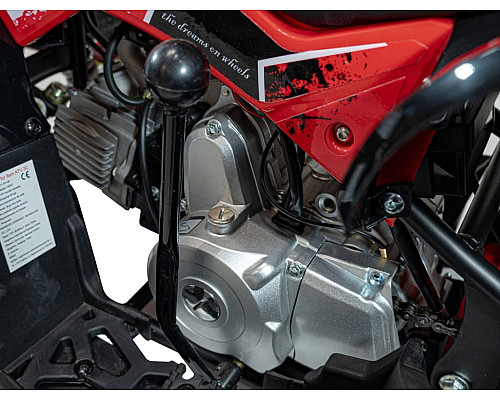 Дитячий акумуляторний квадроцикл RENEGADE HIPERFECT 110CC Червоний