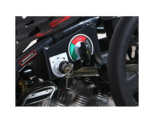 Дитячий акумуляторний картинг Fast Dragon Red 30 км/год