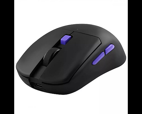 Миша ігрова бездротова Proove Gaming Everon чорна