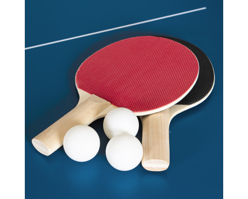 Стіл тенісний міні inSPORTline Sunny Mini, синій Стіл тенісний міні inSPORTline Sunny Mini, синій