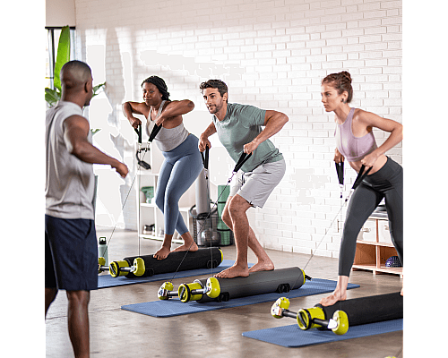 Тренажер BALANCED BODY MOTR