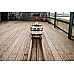 Веслувальний тренажер водний WaterRower  S4 Oak жовтий
